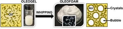 Recent Advances in Understanding and Use of Oleofoams